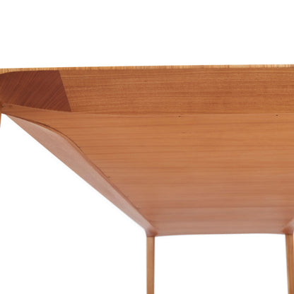 Evo Table TBE1